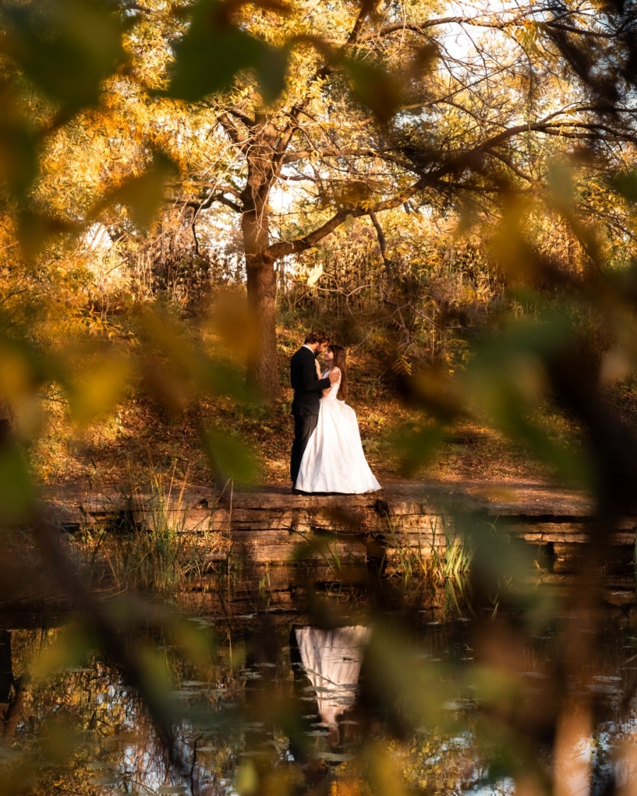 Commercial Property for Sale in Lovemore Park Eastern Cape